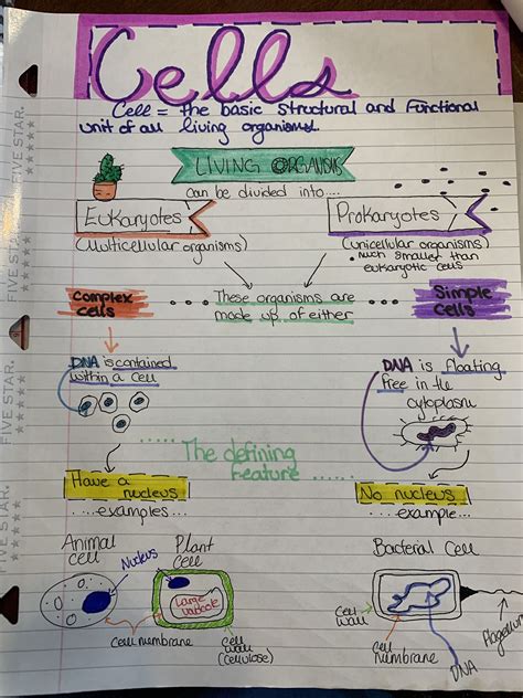 Note Taking Cell Processes Answers Chapter 22 Reader