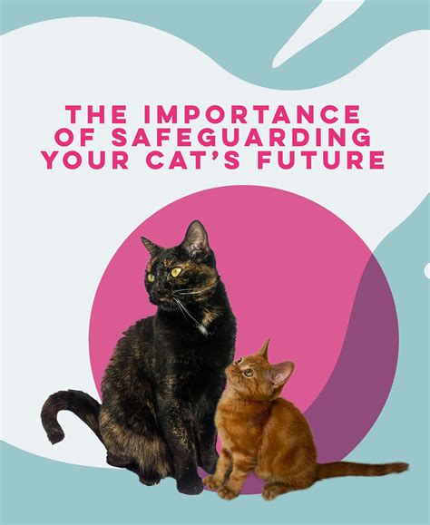 Noturkitten: A Comprehensive Guide to Safeguarding Your Home From Curious Kitties