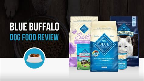 Nourishing Your Canine Companion with Blue Buffalo Dry Dog Food