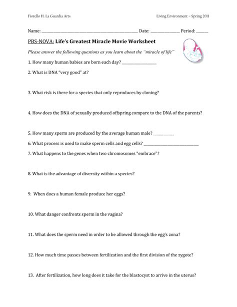 Nova Miracle Of Life Worksheet Answer Key PDF