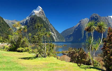 Nova Zelândia x Noruega: Um Guia Detalhado para Viajantes