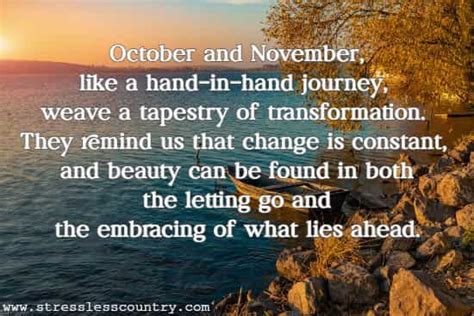 November Sayings: Embracing Gratitude, Reflection, and Preparation