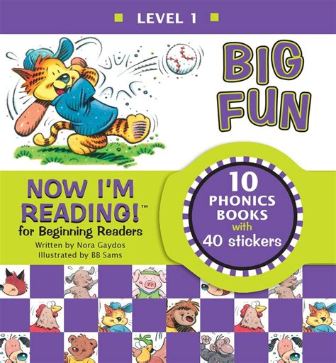 Now I m Reading Level 1 Big Fun NIR Leveled Readers