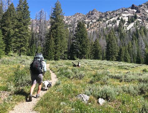 Noxious Hikers: A Menace to Trails and Ecosystems