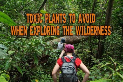 Noxious Hikers: Ruining the Wilderness Experience