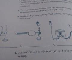 Nrp Lesson 3 Answers PDF