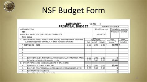 Nsf Budget Template