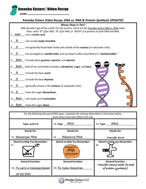 Nucleic Acids And Protein Synthesis Answers Doc