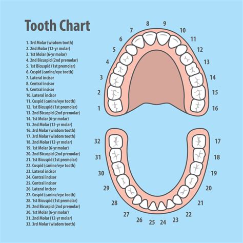 Number of teeth being removed: