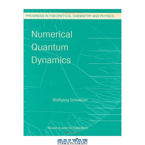 Numerical Quantum Dynamics 1st Edition Epub