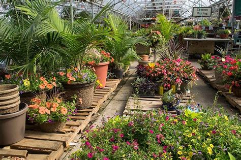 Nurseries and Garden Centers: