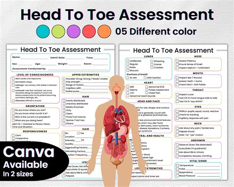 Nursing Assessment Head-to-Toe Assessment in Pictures Health Assessment in Nursing Kindle Editon