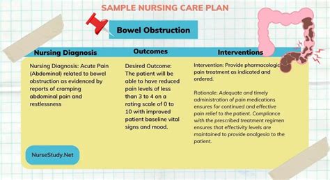 Nursing Diagnosis for Small Bowel Obstruction