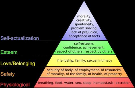 Nursing Maslow's Hierarchy of Needs: A 5-Step Guide to Patient-Centered Care