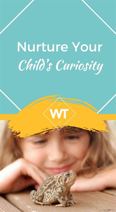 Nurture Your Curiosity: