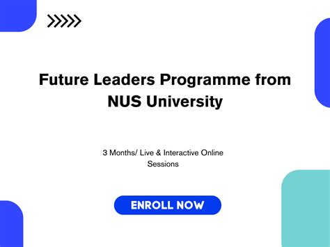 Nurturing Future Leaders: The Pedagogical Prowess of NUS University Professors