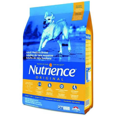 Nutrience 狗糧：打造愛寵黃金營養時代