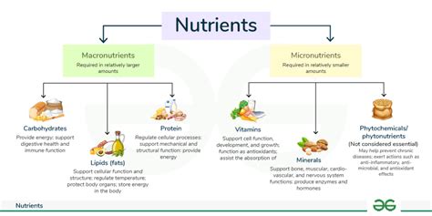 Nutrience 的優勢