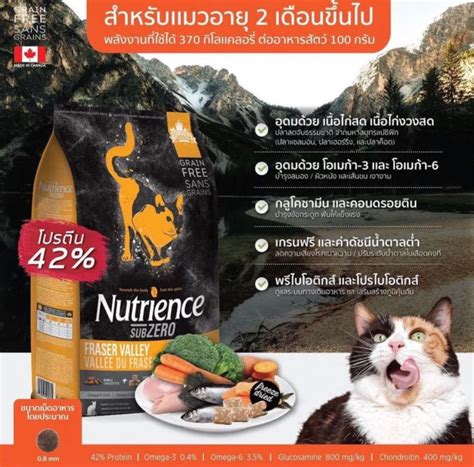 Nutrience 貓糧評價：優點、缺點和注意事項