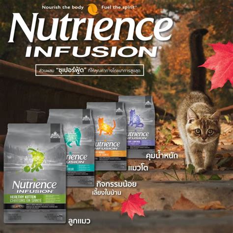 Nutrience 貓糧評價：優點與缺點