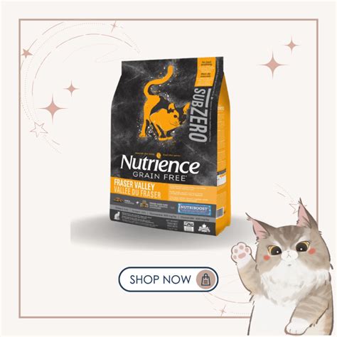 Nutrience 貓糧評價：深入探討其優缺點和評價