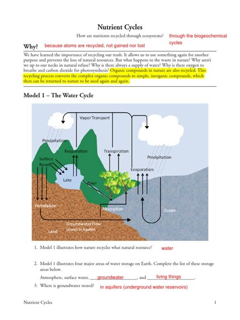 Nutrient Cycle Answers Key PDF