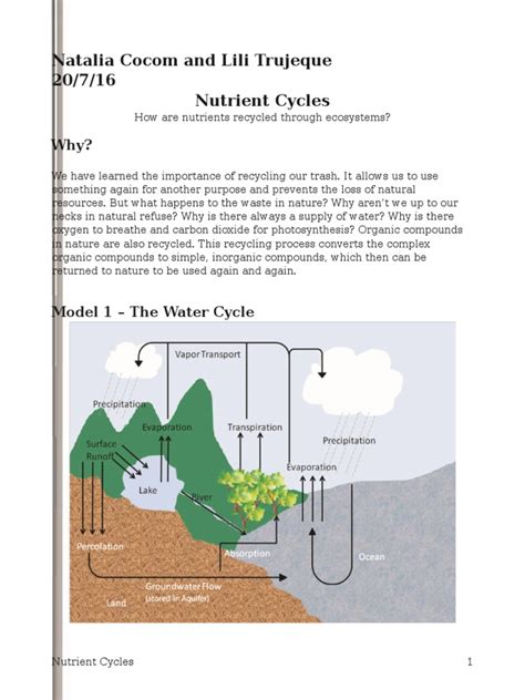 Nutrient Cycle Webquest Answer Key Reader