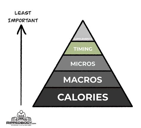 Nutrient Timing and Supplementation