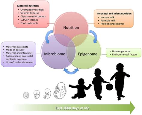 Nutrition in Early Life Kindle Editon