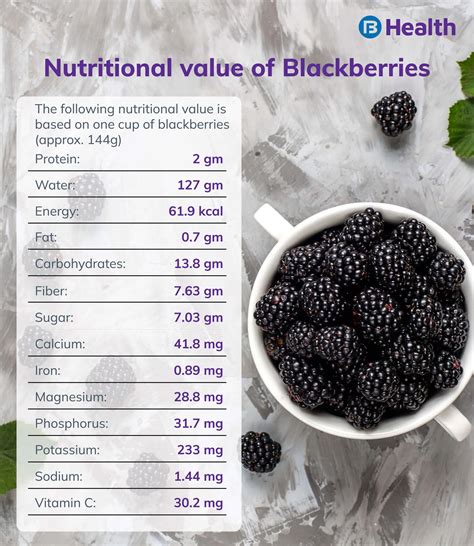 Nutritional Benefits of Blackberries for Dogs