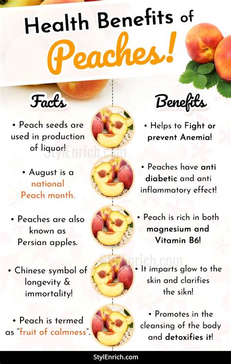 Nutritional Benefits of Peaches and Melons