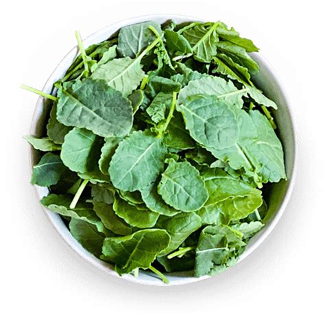 Nutritional Composition of Baby Kale