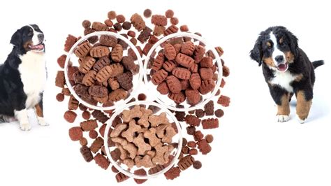 Nutritional Differences between Puppy Food and Dog Food