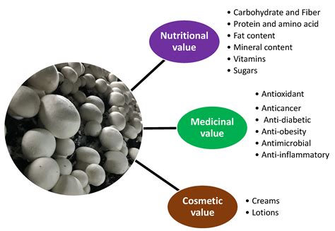 Nutritional Profile and Medicinal Properties