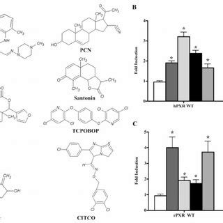 Nutritional Profile of Carapin