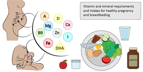 Nutritional Requirements During Pregnancy and Breastfeeding