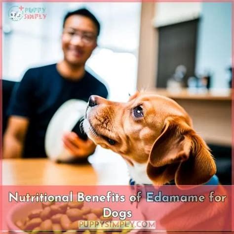 Nutritional Value of Edamame for Dogs