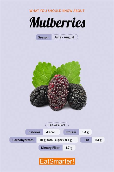 Nutritional Value of Mulberries