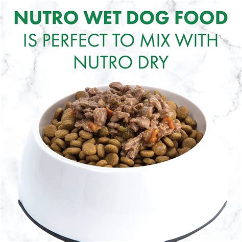 Nutro Wet Dog Food: The Ultimate Guide to Nourishing Your Canine Companion