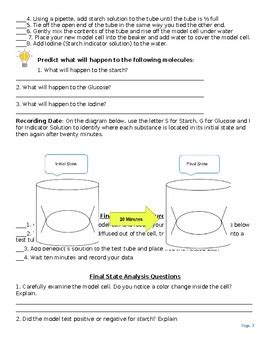 Nys Biology Diffusion Lab Answer Key Doc