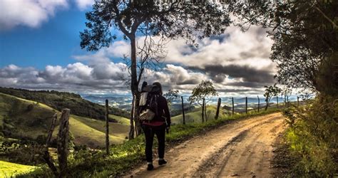 O Caminho da Raiz