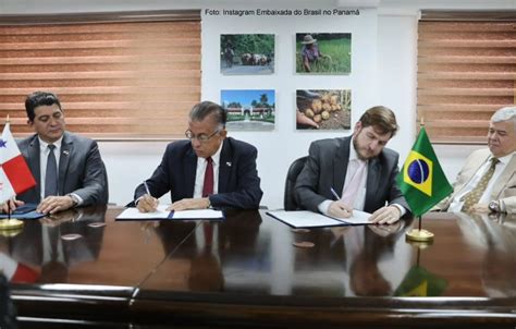 O Campeonato Holandês 2: Um Campo Fértil para Oportunidades de Negócios