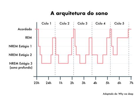 O Ciclo do Sono