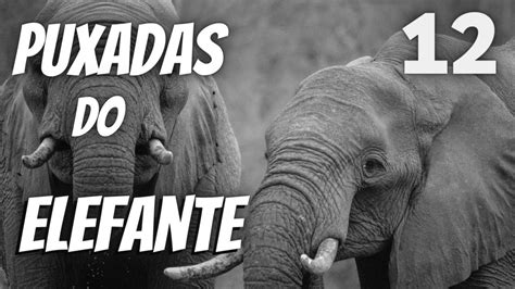 O Conceito da Puxada do Elefante