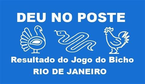 O Dia Nacional da Deu no Poste: Um Guia Completo