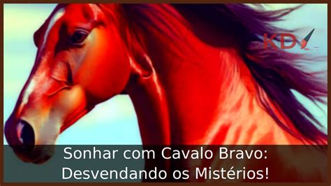 O Guia Essencial para o Mundo Equestre: Desvendando os Mistérios do Cavalo que Come Mulher