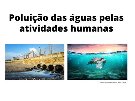 O Impacto das Atividades Humanas