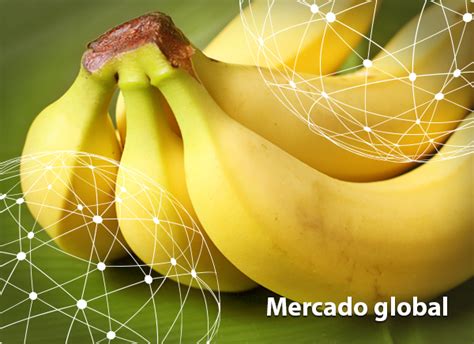 O Mercado Global de Banana