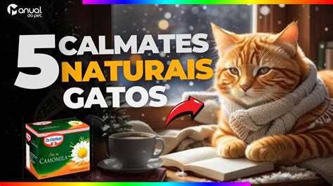 O Poder dos Calmantes Naturais