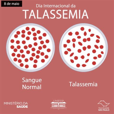 O Que É Talassemia Beta?